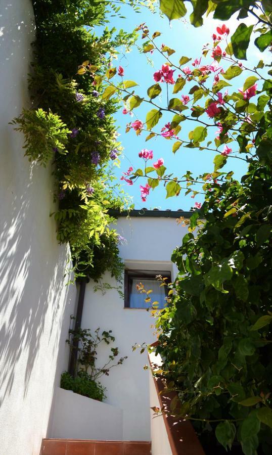 Casa Gandamar B&B サンタ・テレーザ・ガッルーラ エクステリア 写真